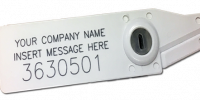 dragon-seal-with-company-name-and-message